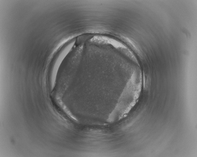 X0000115480531200911271330