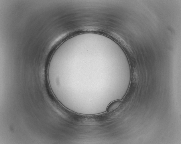 X0000115480535200911271330