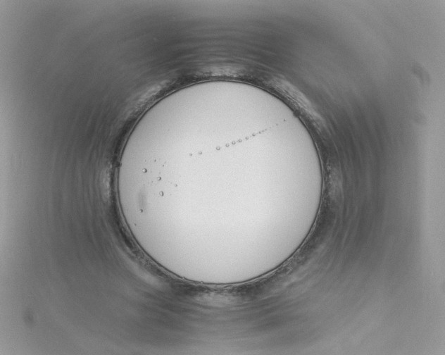 X0000115480537200911271330