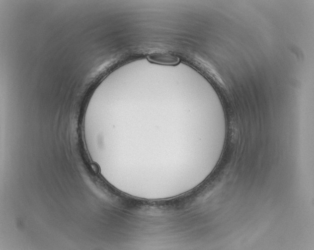 X0000115480538200911271330