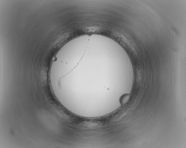 X0000115480545200911271330