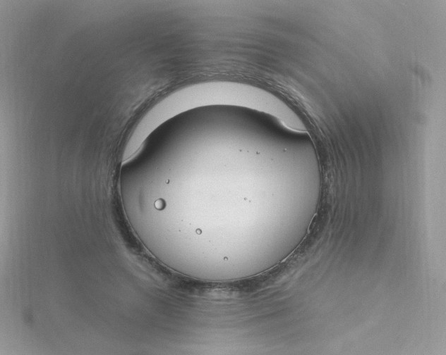 X0000115480546200911271330