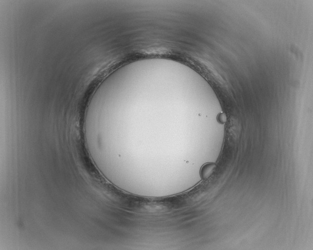 X0000115480547200911271330