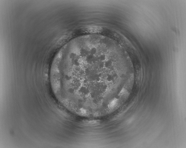 X0000115480553200911271330