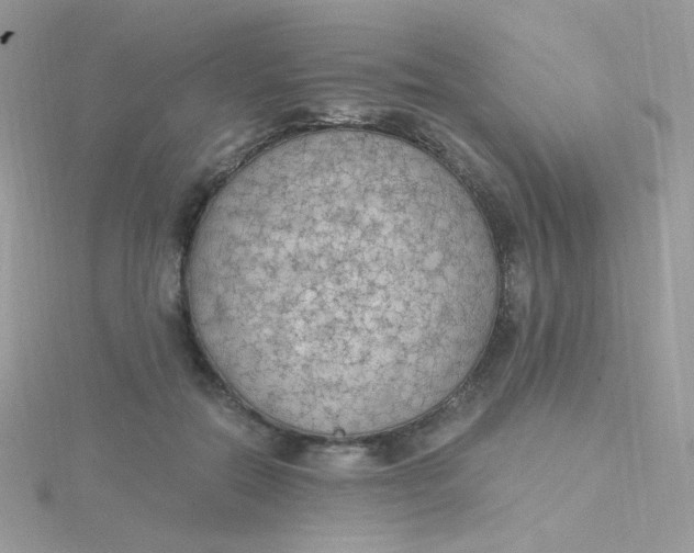 X0000115480554200911271330