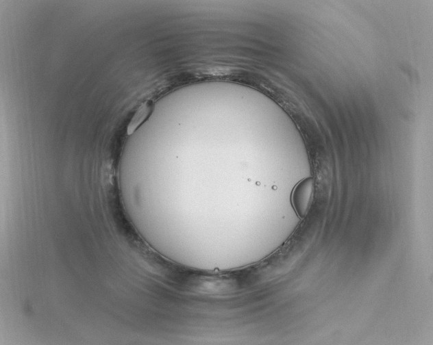 X0000115480555200911271330