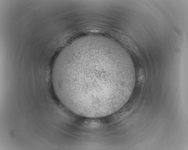 X0000115480559200911271330