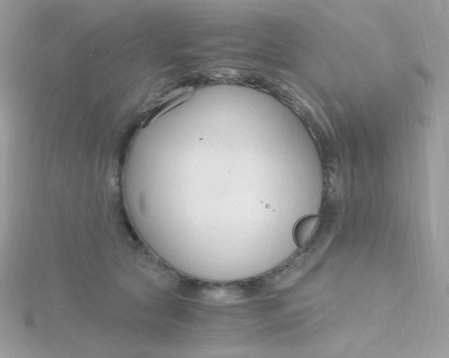 X0000115480561200911271330