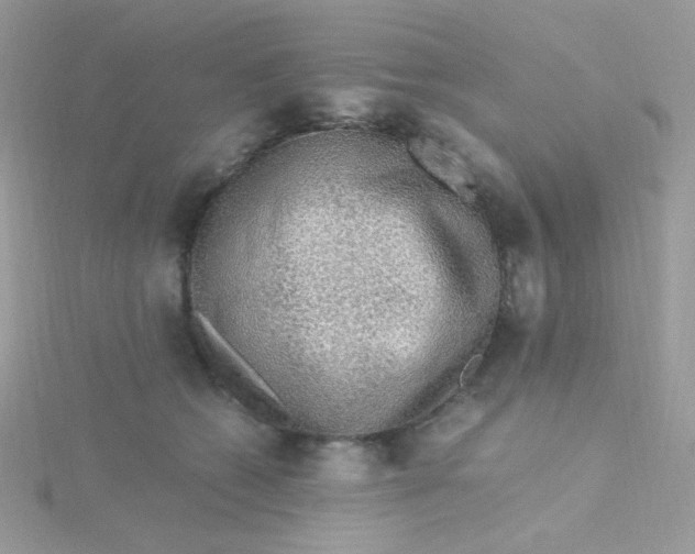 X0000115480562200911271330