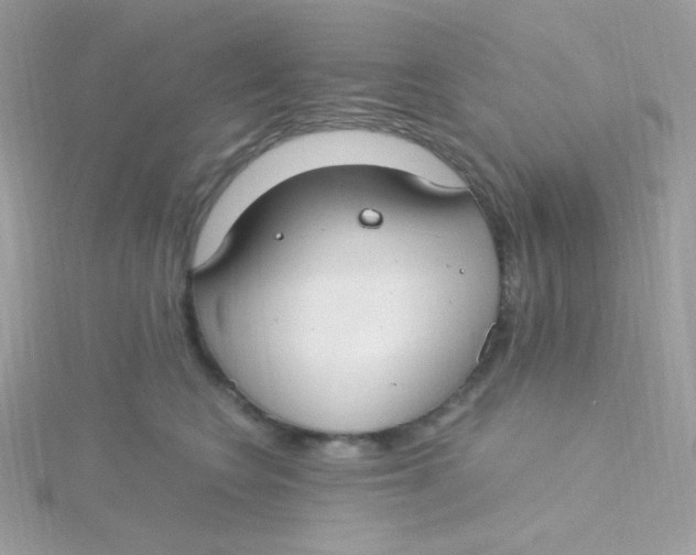 X0000115480566200911271330