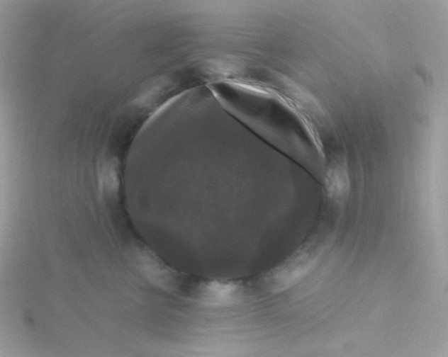 X0000115480570200911271330