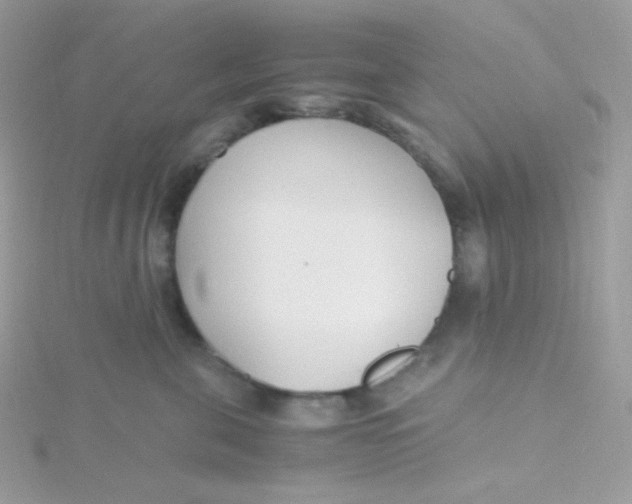 X0000115480571200911271330