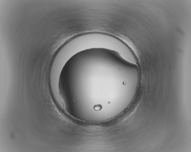 X0000115480577200911271330