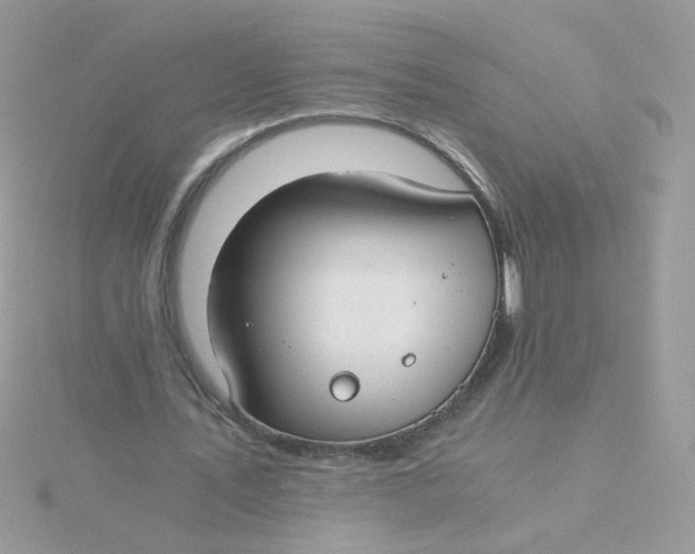 X0000115480579200911271330