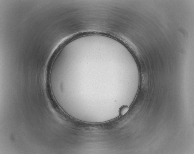 X0000115480580200911271330