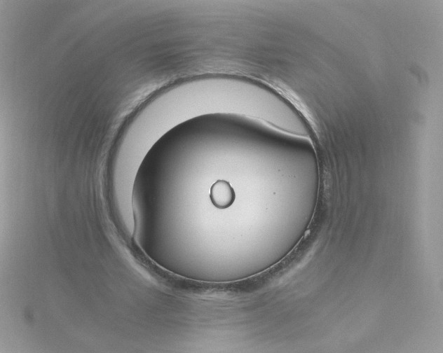 X0000115480581200911271330