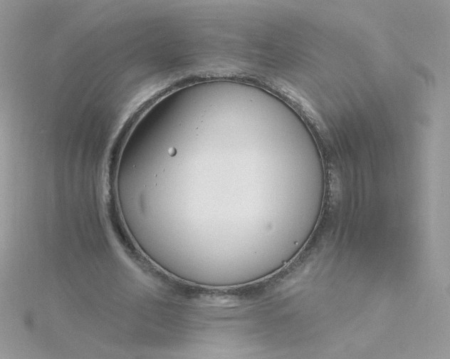 X0000115480582200911271330