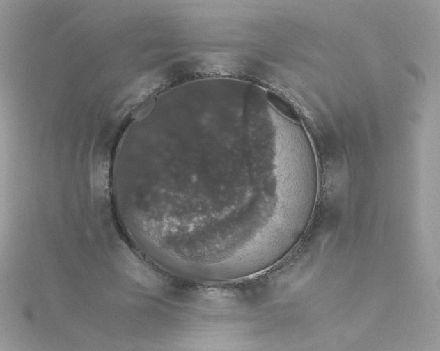 X0000115480585200911271330