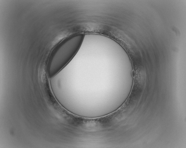 X0000115480587200911271330