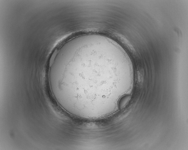 X0000115480588200911271330