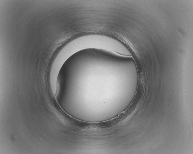 X0000115480589200911271330