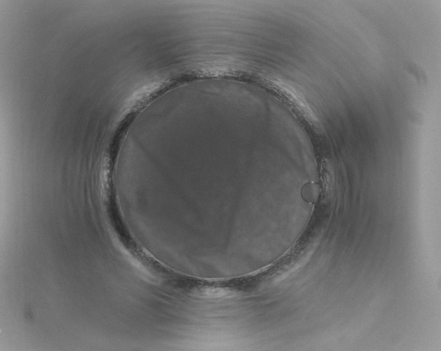 X0000115480590200911271330