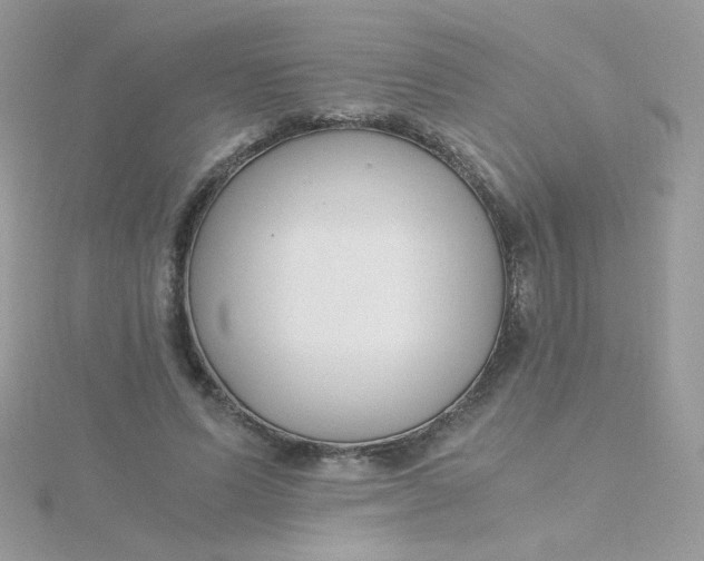 X0000115480591200911271330