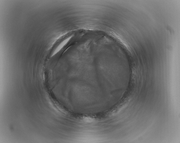 X0000115480592200911271330