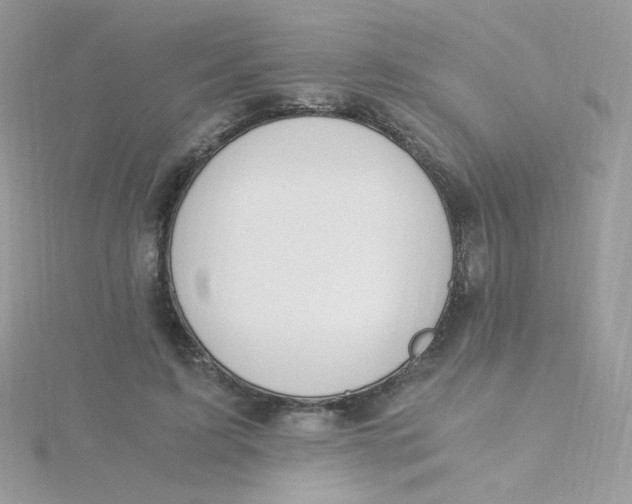 X0000115480595200911271330