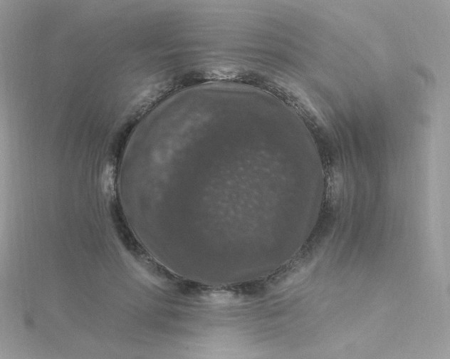 X0000115480598200911271330