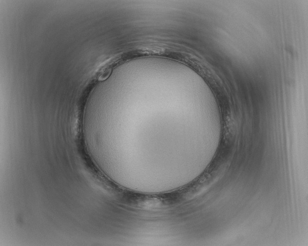 X0000115480600200911271330