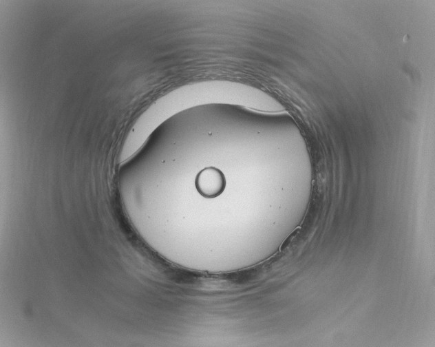 X0000115480605200911271329