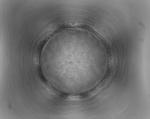 X0000115480606200911271329