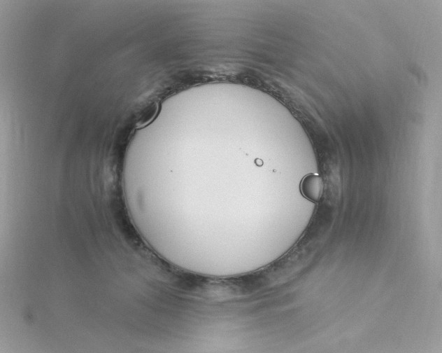 X0000115480608200911271329