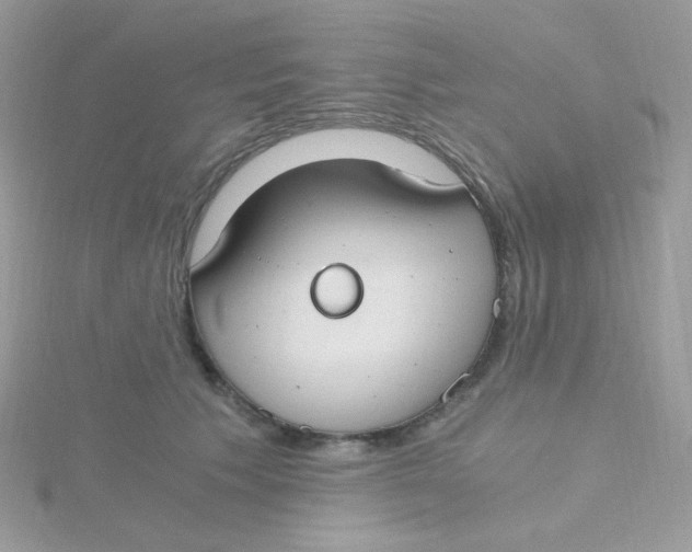 X0000115480609200911271329