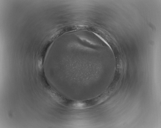 X0000115480610200911271329