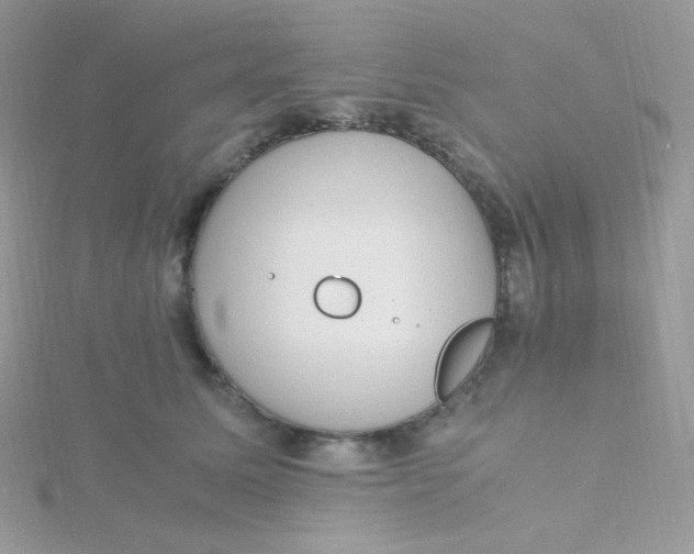 X0000115480611200911271329