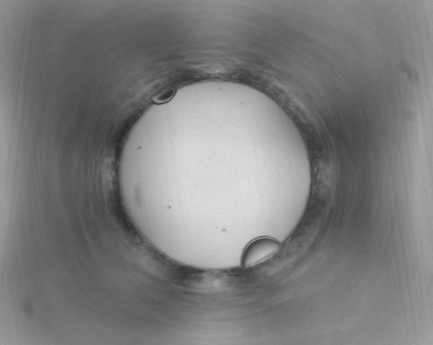 X0000115480612200911271329