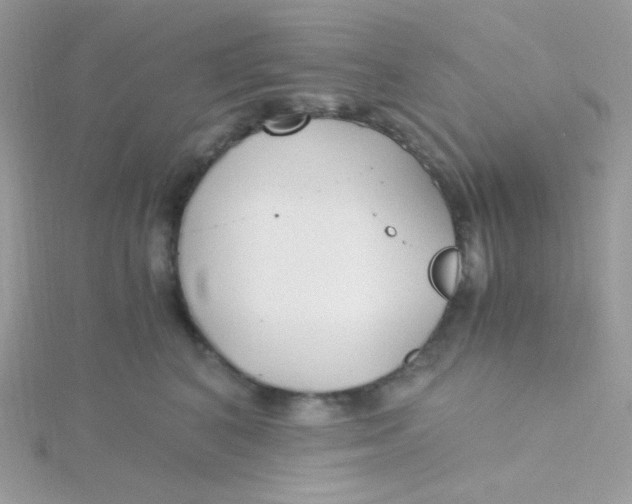 X0000115480616200911271329