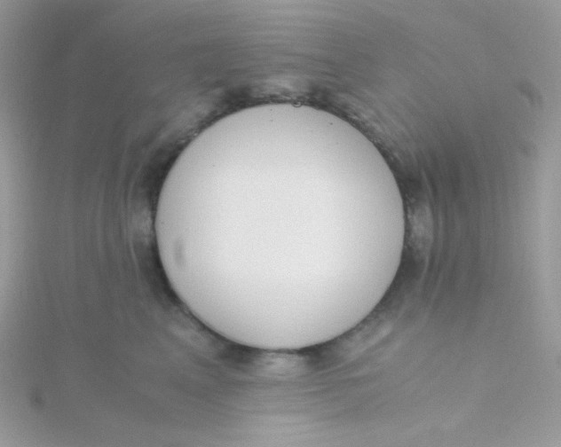 X0000115480617200911271329