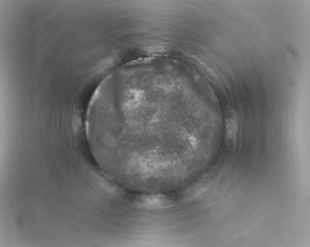 X0000115480618200911271329