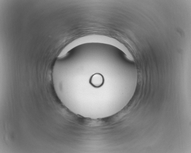 X0000115480621200911271329