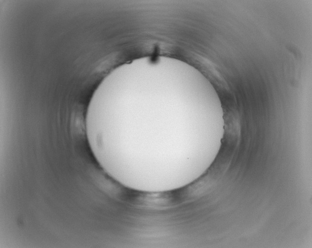 X0000115480622200911271329