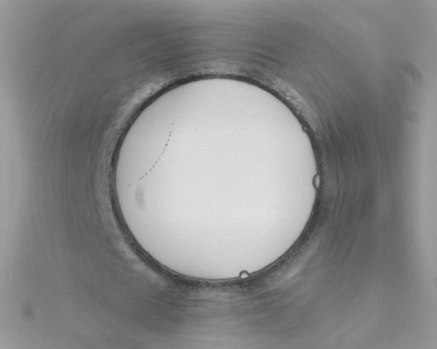 X0000115480625200911271329