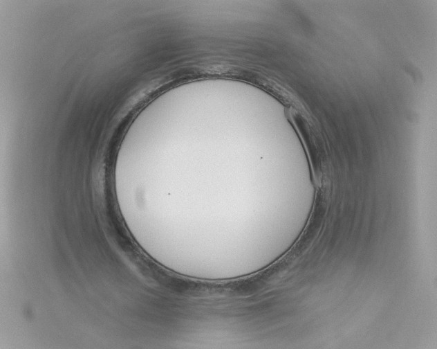 X0000115480626200911271329