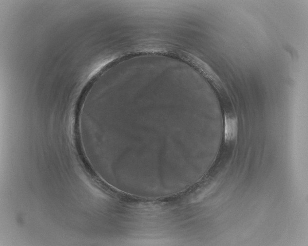 X0000115480627200911271329