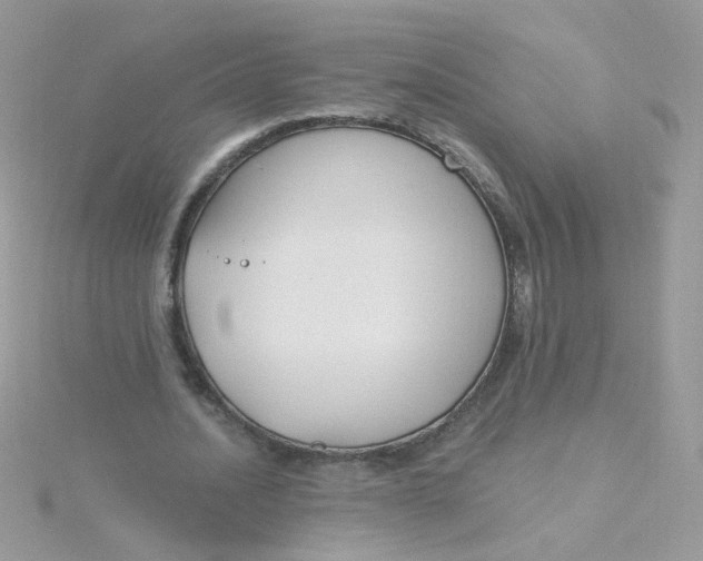 X0000115480628200911271329