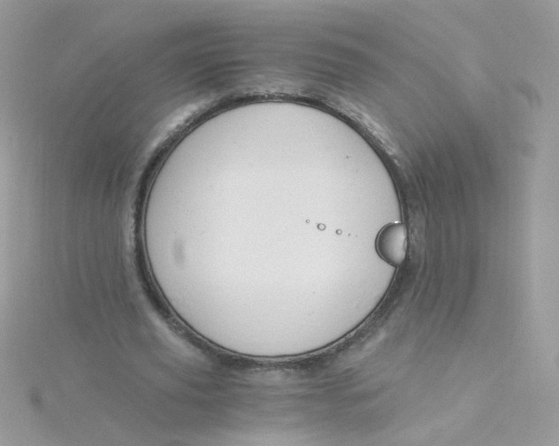 X0000115480629200911271329