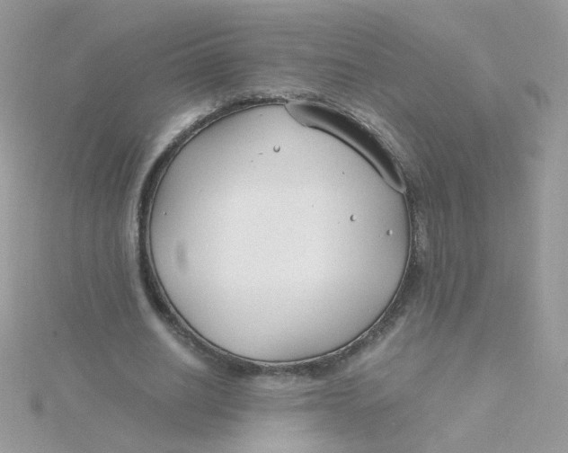 X0000115480630200911271329