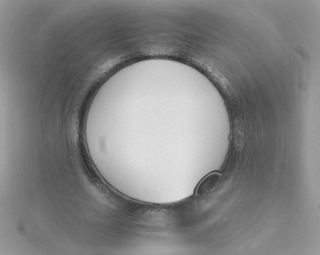 X0000115480631200911271329